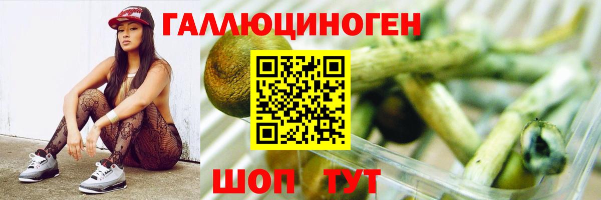 Галлюциногенные грибы мицелий Сокол