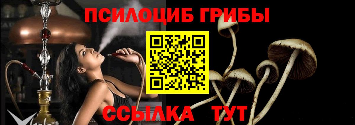 Галлюциногенные грибы мицелий  Вход с VPN  Сокол  Галлюциногенные грибы Psilocybine cubensis 