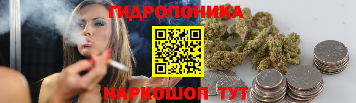 Марихуана сатива  Вход с VPN  Канабис сатива  Сокол  МАРИХУАНА SATIVA & INDICA 